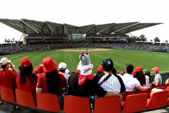 Por reventa de boletos, 31 detenidos durante partido de b&eacute;isbol