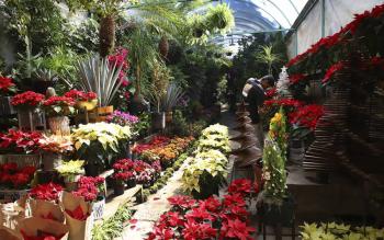 Presenta Viveros de Coyoac&aacute;n exposici&oacute;n de “Floricultura y Viverismo”, por sus 60 a&ntilde;os