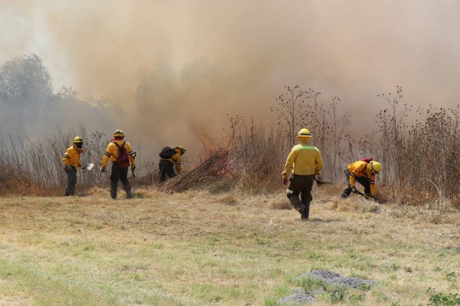 Destacan trabajo de brigadistas por combatir incendios forestales en la CDMX