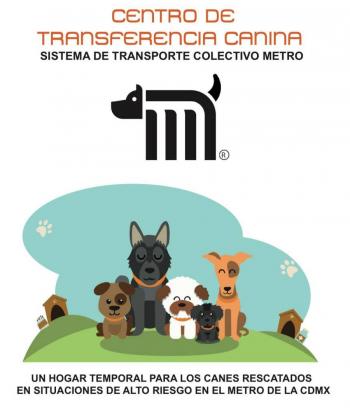 HISTORIAS EN EL METRO: LA RAZ&Oacute;N DE ESTAR CONTIGO