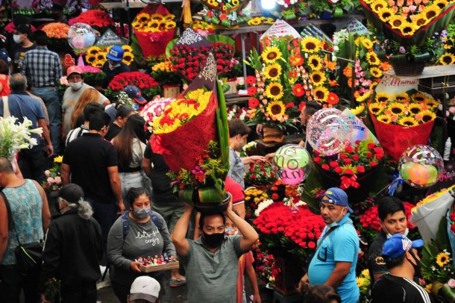 Garantizan abasto de flores ornamentales para los festejos del Día de las Madres