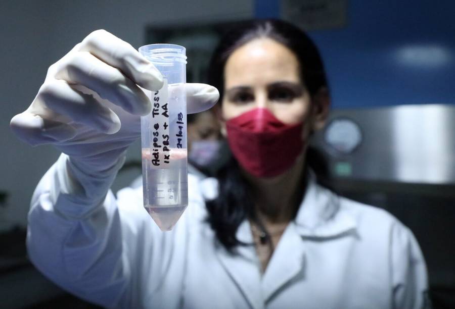 IMSS trabaja para contribuir en terapia celular que repare da&ntilde;o del p&aacute;ncreas por diabetes tipo 2