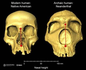 Identifican en Latinoamérica un gen asociado a la forma de la nariz, probablemente, heredado de neandertales
