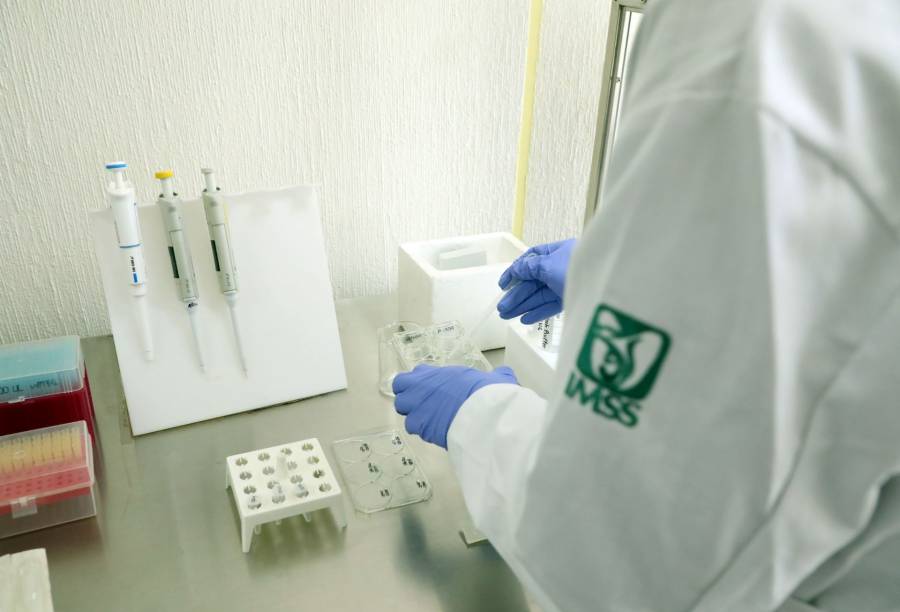 Reporta el IMSS haber atendido casi 11 millones de personas durante pandemia de covid-19