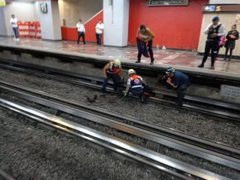 Metro detiene servicio para rescatar a una gallina que se encontraba en las v&iacute;as