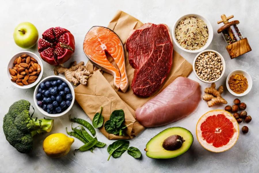 Presentan guías alimentarias para fomentar hábitos saludables