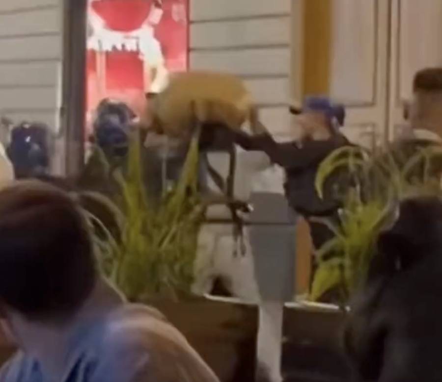 SSC suspende a polic&iacute;as que tiraron canasta de vendedora de churros en el Centro Hist&oacute;rico