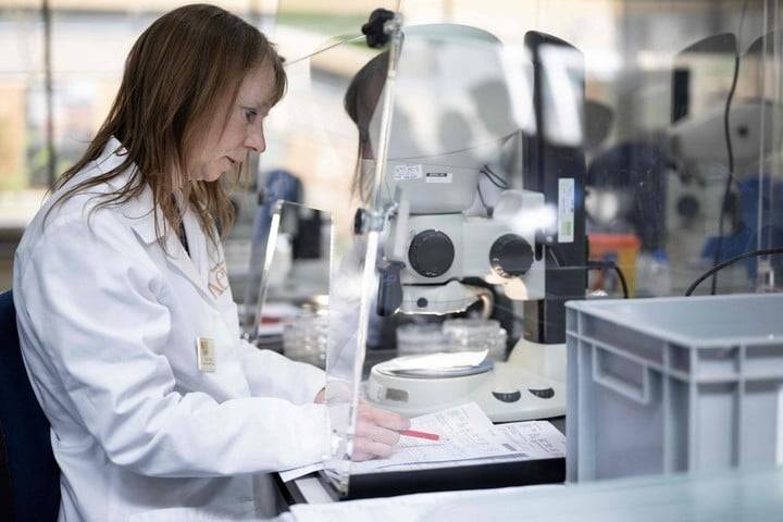 El Banco de Semillas del Milenio: Salvaguardando la Biodiversidad Vegetal