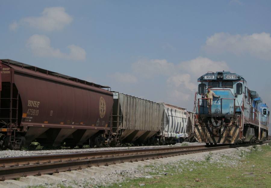 El dominio de grupo M&eacute;xico en la Red Ferroviaria Mexicana y la necesidad de una mayor participaci&oacute;n estatal