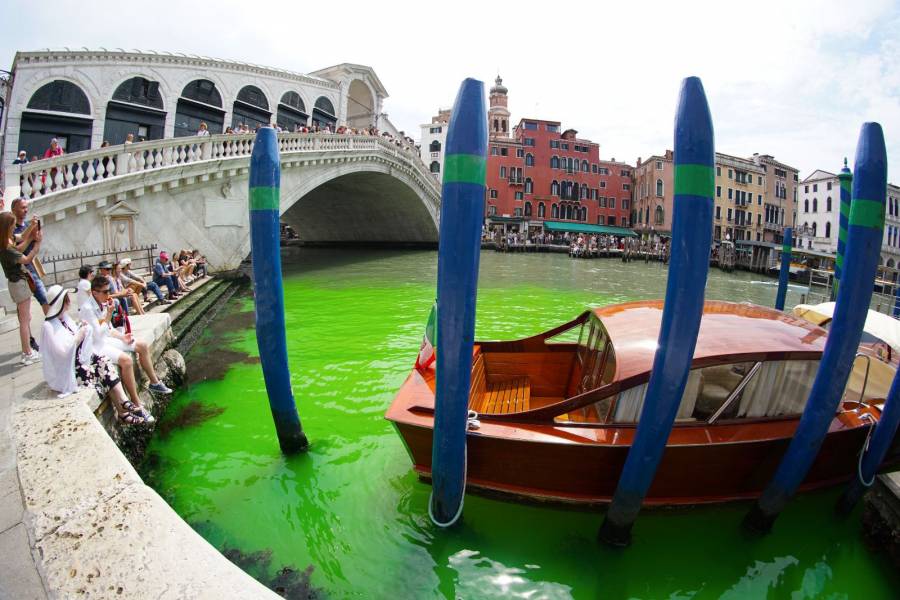 Las aguas del Gran Canal de Venecia se tiñen de verde fosforescente