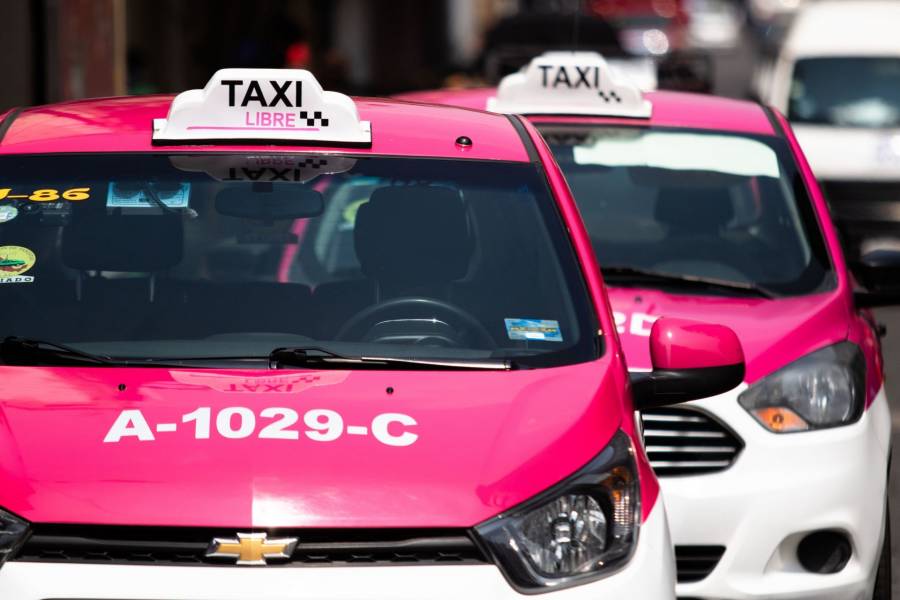 Anuncia SEMOVI procedimiento para reposici&oacute;n de placas y engomado de taxis