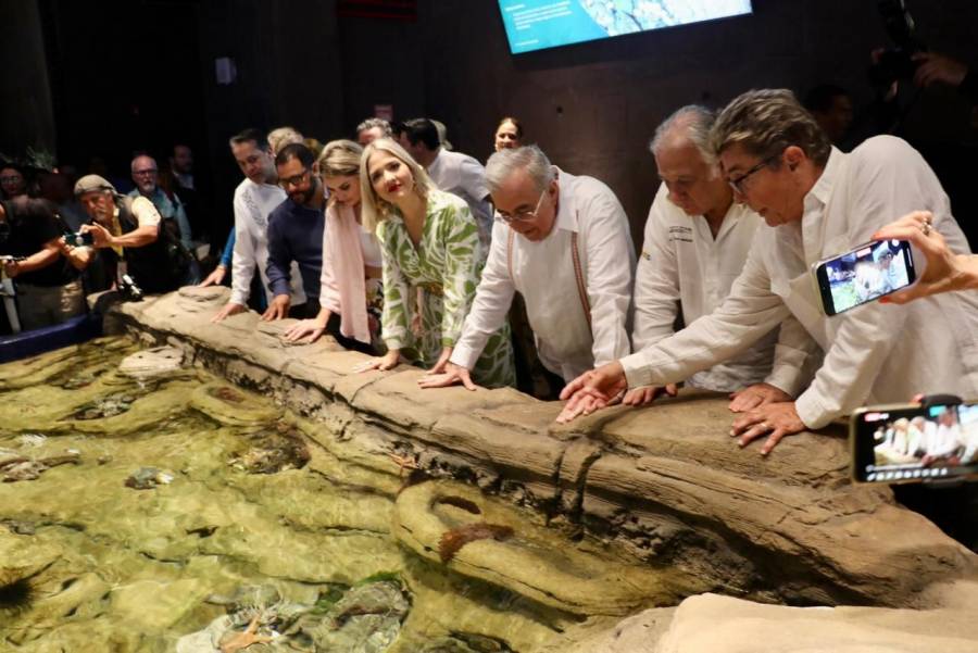 Gran Acuario Mazatlán “Mar de Cortés”, una realidad para el bien del turismo: Miguel Torruco