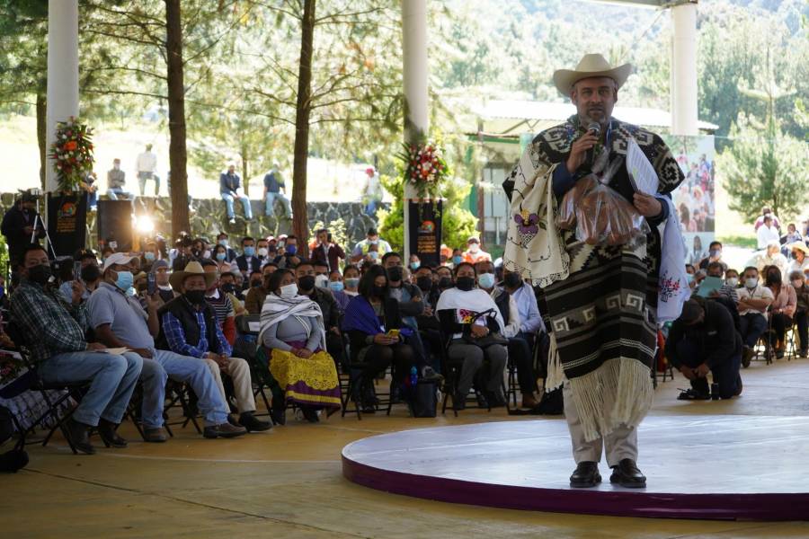 Logros de la comunidad de Cher&aacute;n en la reforestaci&oacute;n y lucha contra el crimen organizado