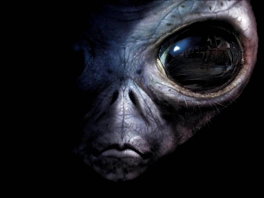 VIDEO: Familia reporta avistamiento de supuesto alien en Las Vegas