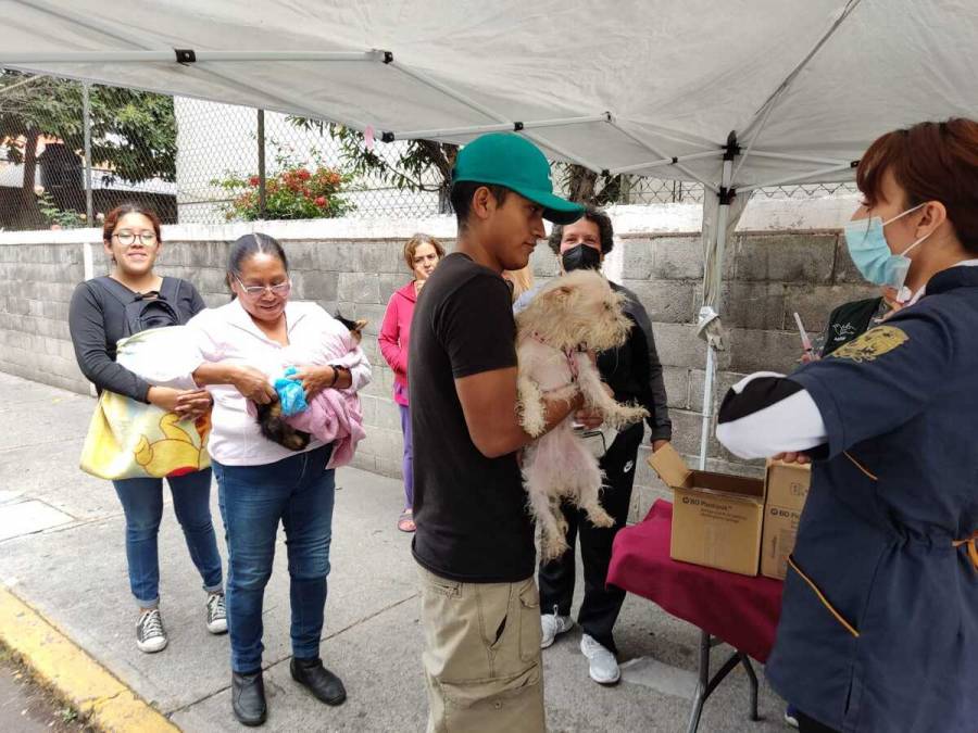 Promueve AGATAN bienestar animal en Magdalena Contreras