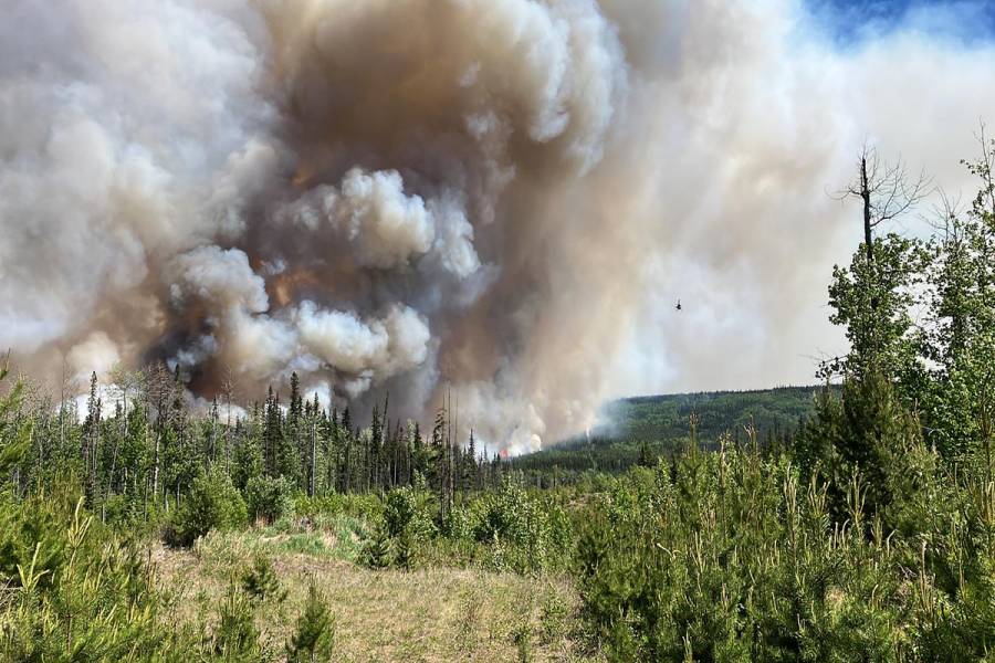 México expresa su solidaridad ante los incendios forestales en Canadá