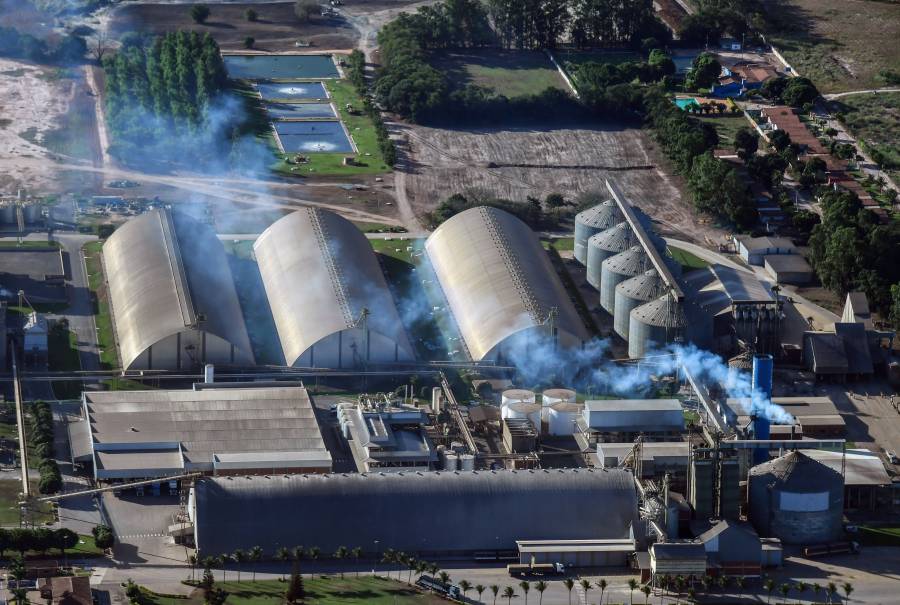 Bunge compra Viterra y crea gigante mundial del agronegocio