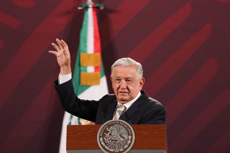 AMLO presentará reforma constitucional para reconocer derechos de los animales