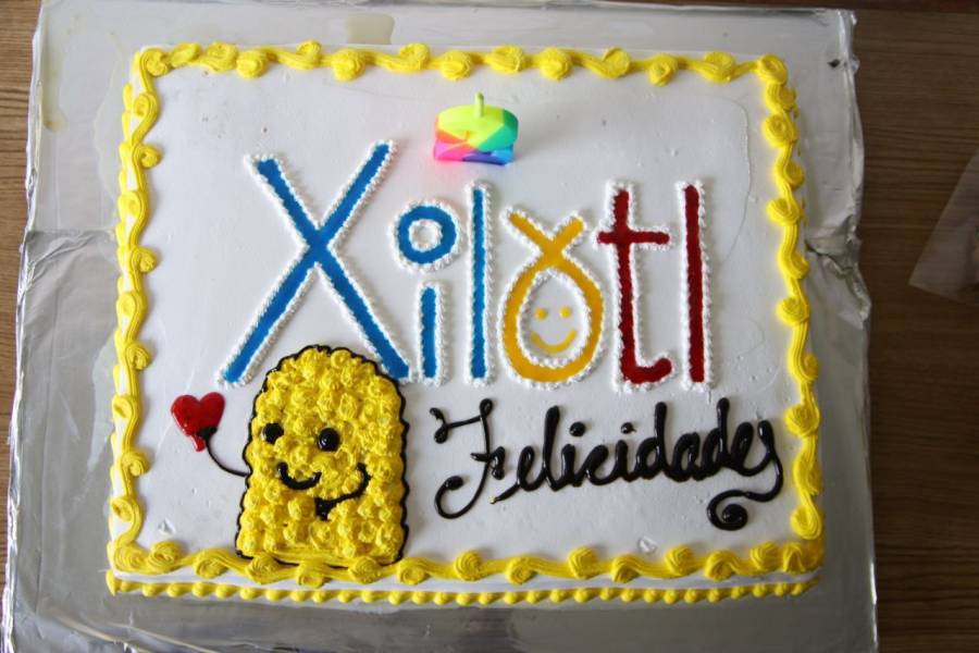 Centro Xilotl de Tlalpan atendió a más de mil 200 niños en dos años