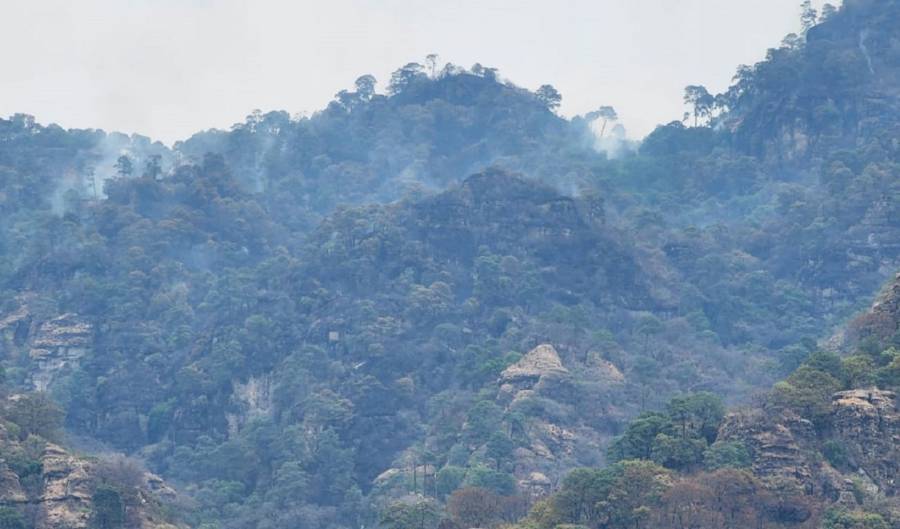 Protección Civil de Veracruz reportó más de 16 incendios forestales