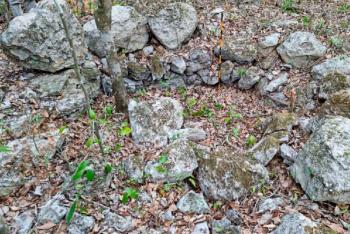 Descubren antigua ciudad maya Campeche; la nombran Ocomt&uacute;n, “columna de piedra”