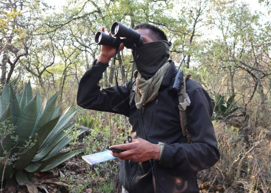 Sedema refuerza monitoreo de biodiversidad con Empleos Verdes