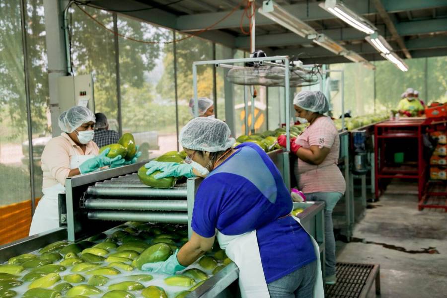México y EEUU trabajan para fortalecer inocuidad de alimentos frescos