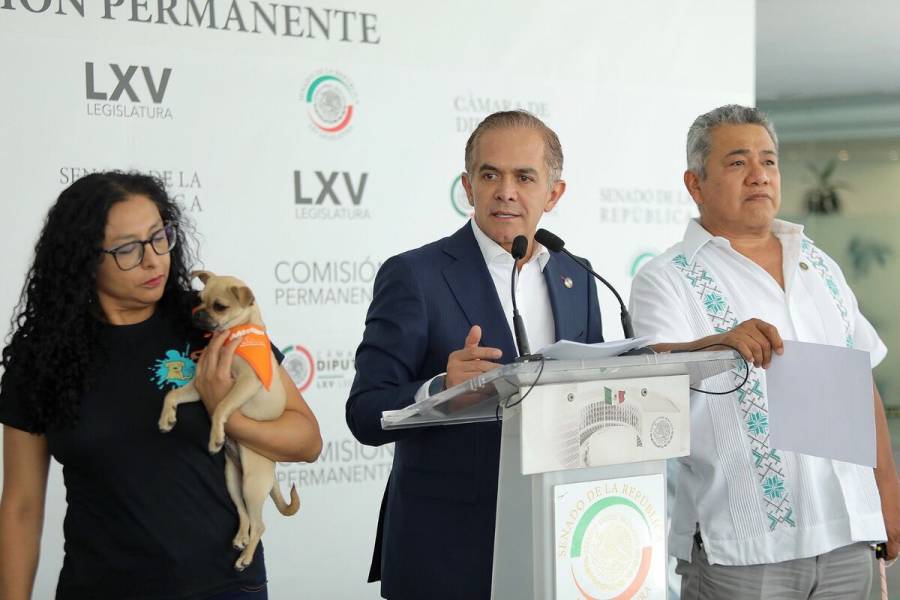 Mancera presenta iniciativa para proteger a los animales de compañía