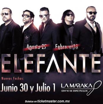 LLEGA ELEFANTE A LA MARAKA CON SHOW &Iacute;NTIMO