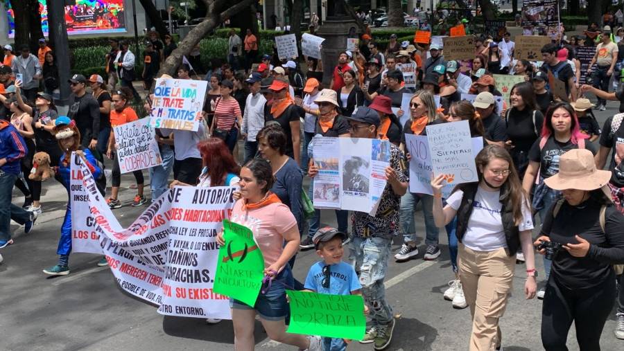 Se lleva a cabo marcha para exigir justicia ante el maltrato animal