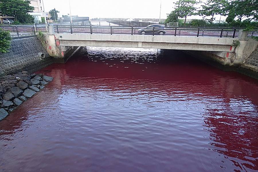 Fuga de refrigerante de una cerveceria japonesa torna rojas aguas de una bahía