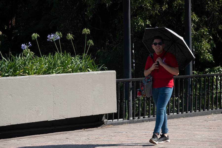UNAM estima altas temperaturas de hasta 50 grados en algunos estados