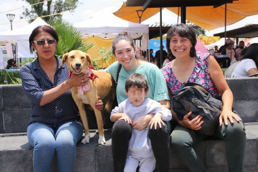 Alcaldía Tlalpan realiza más de 150 esterilizaciones en la primera edición del Animal Fest