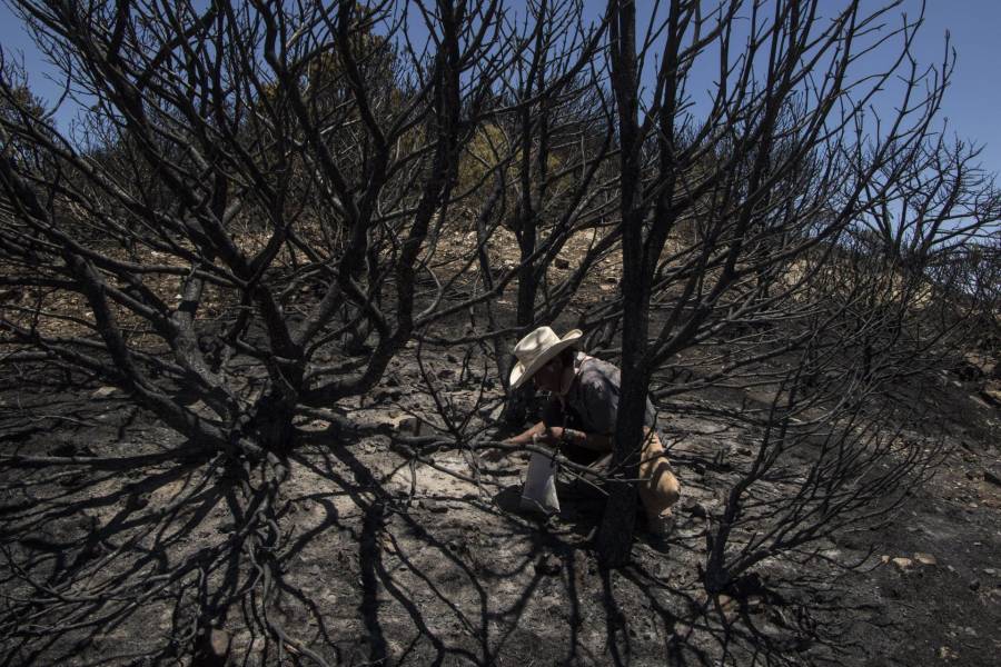 México y El Caribe experimentan un alarmante aumento de temperatura, según la OMM