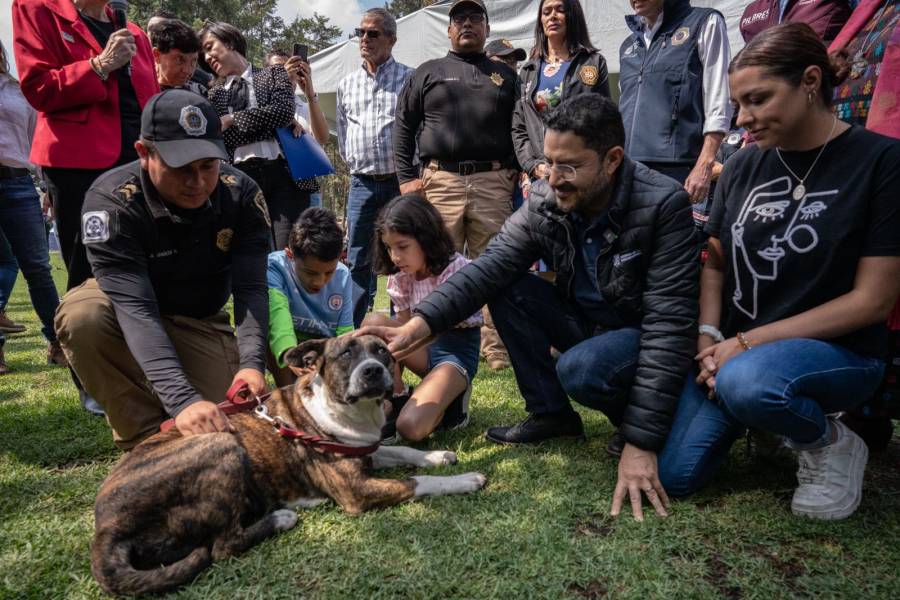 Presentan programa “Ciudad de los Perros y Gatos” para brindar protección a la fauna animal en CDMX