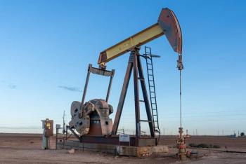 Elecciones en EE. UU. y su impacto en la crisis energ&eacute;tica: Advertencia del director de TotalEnergies