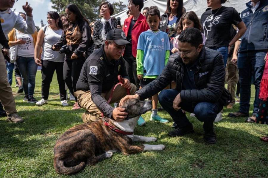 Vivimos en una Ciudad de Derechos también para los animales: Martí Batres