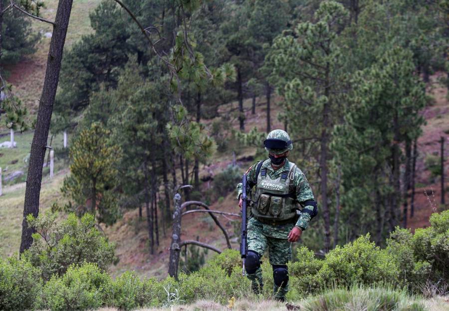 Desmantelan Aserradero Clandestino en el Ajusco