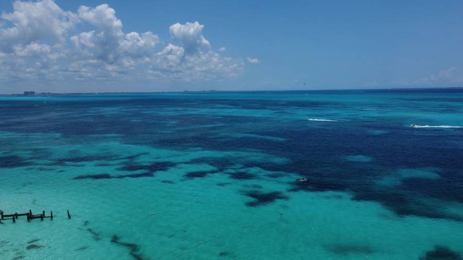 Los cambios en el color de los oc&eacute;anos revelan transformaciones ecol&oacute;gicas