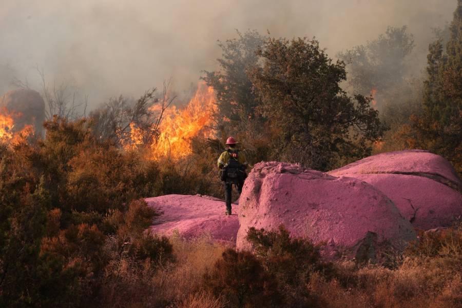 El calor extremo sofoca al hemisferio norte