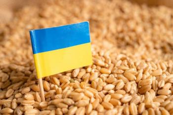 Rusia dice que el acuerdo de exportaci&oacute;n de cereales ucranianos 