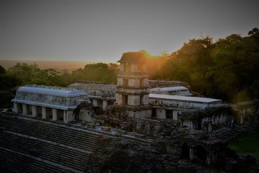 Descubre las paradas imperdibles del Tren Maya en México