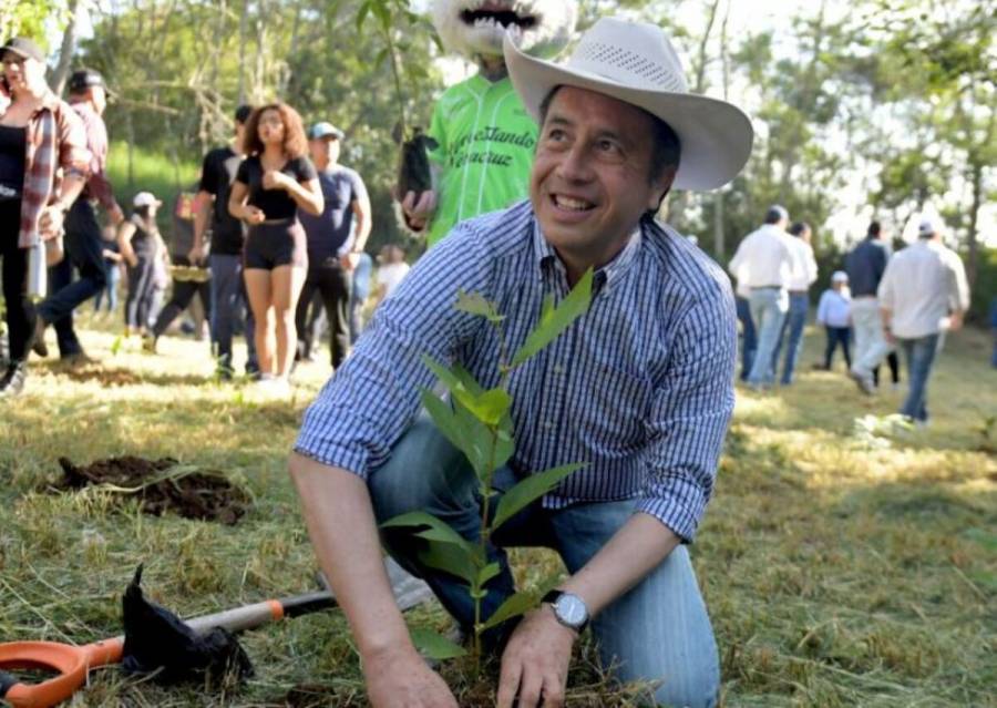 En Veracruz ya van 7 millones de árboles sembrados Cuitláhuac García
