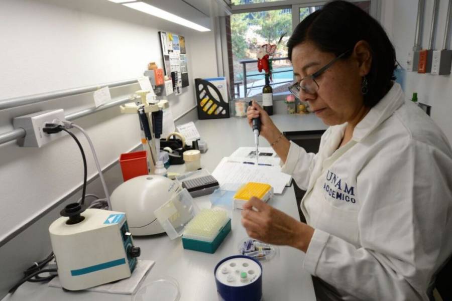 Científicos de la UNAM estudian usar virus para combatir bacterias resistentes a antibióticos