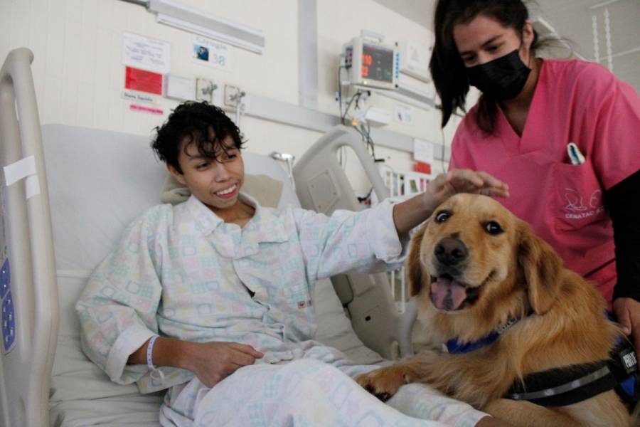 Sedesa brinda terapias asistidas con perros en Hospital Pediátrico Coyoacán