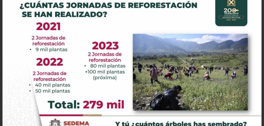 En Veracruz se ha reforestado estratégicamente con 279 mil árboles: Cuitláhuac García