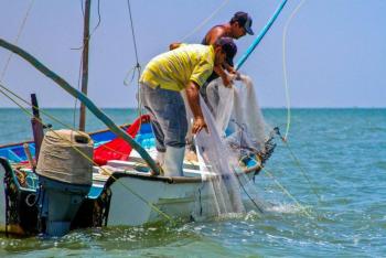 Actualiza Agricultura fichas de la Carta Nacional Pesquera