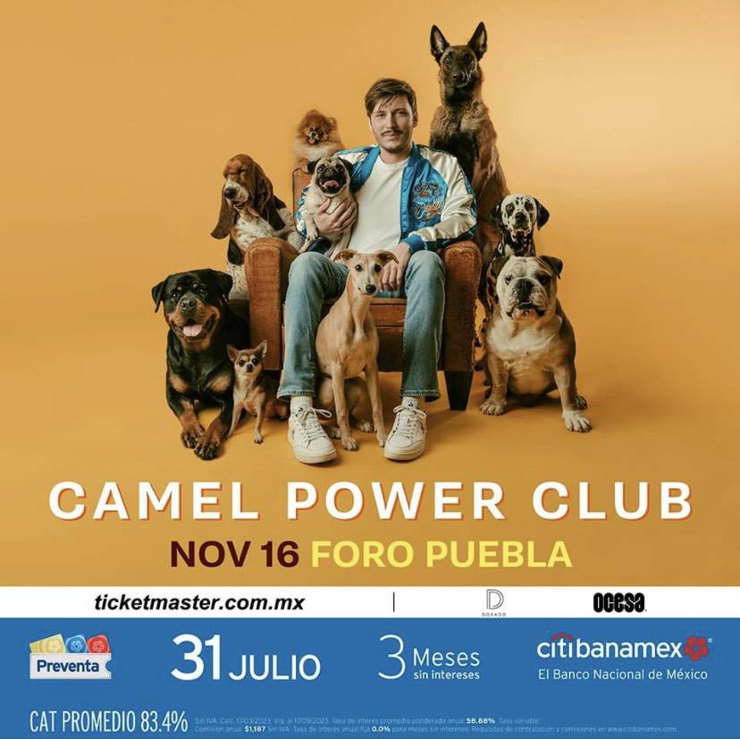 Camel Power Club, el talentoso proyecto musical presente en suelo mexicano 