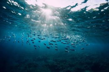 La superficie de los oc&eacute;anos alcanza temperatura r&eacute;cord
