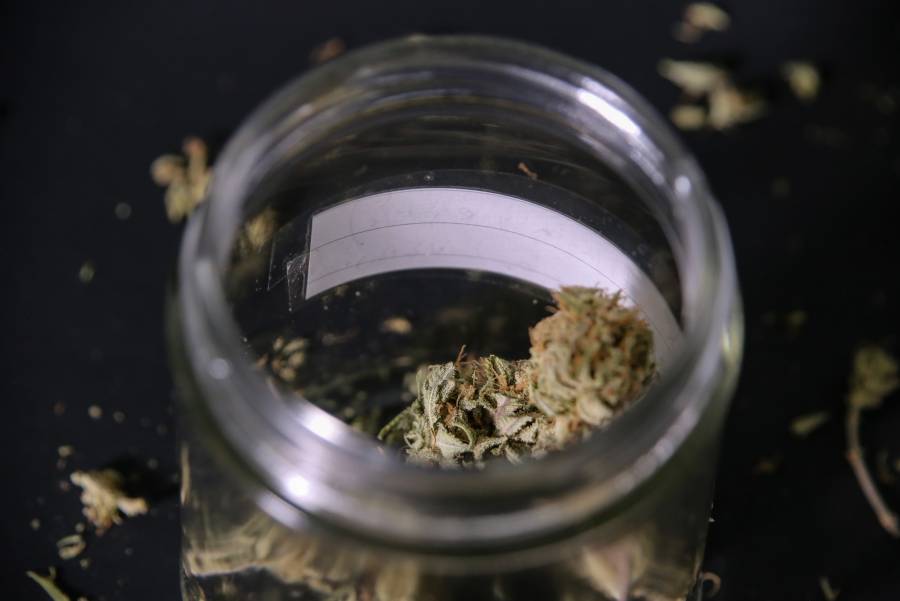 Ohio buscar&aacute; colocar la legalizaci&oacute;n de cannabis como tema en la boleta electoral